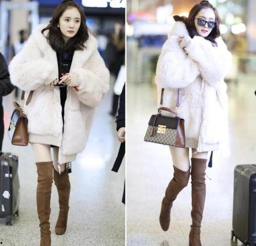 清纯另类丝袜在线播放,探寻清纯与另类的完美融合