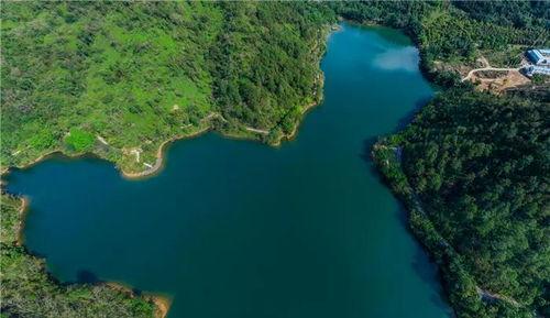 海屿最新爆料消息,最新爆料事件深度解析