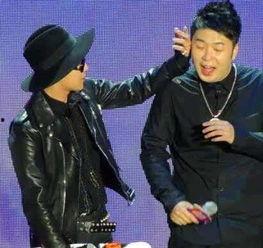 汪涵韩国明星,文化交流的璀璨瞬间