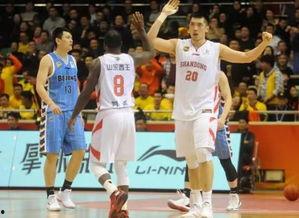 篮球最新爆料视频大全集,精彩瞬间尽收眼底