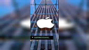 444zzz在线播放,在线播放的视听盛宴