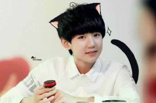 任嘉伦和王源最新爆料,揭秘娱乐圈幕后故事与青春回忆