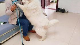 德云女孩爆料事件视频完整版